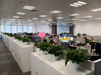 喬遷大吉！級掌柜新辦公空間全面揭秘，科技與舒適完美融合